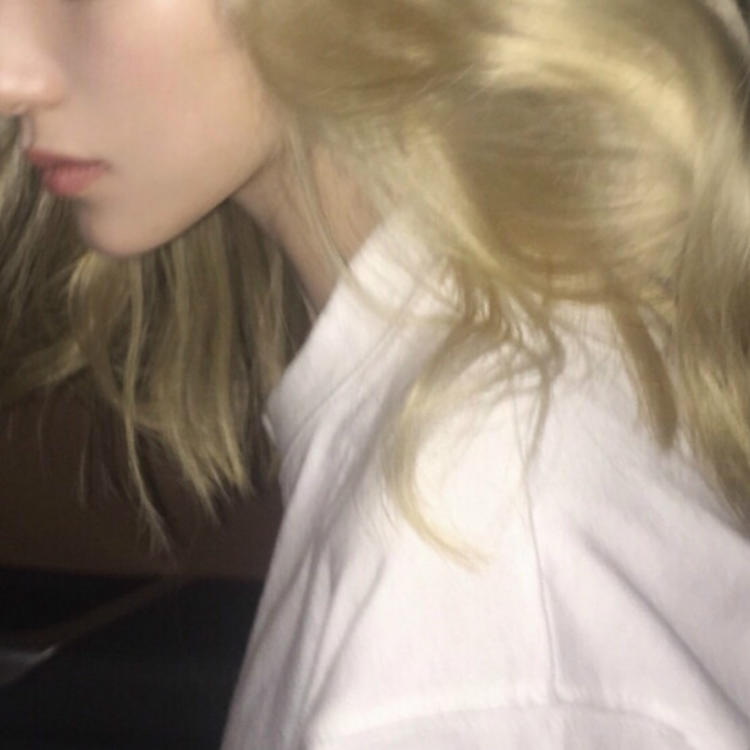 小森林素材铺 第147张.jpg