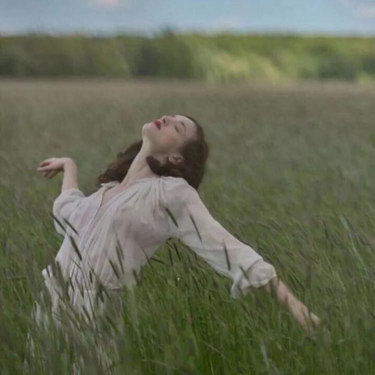 1775317214213300.jpg 小森林素材铺 第154张.jpg